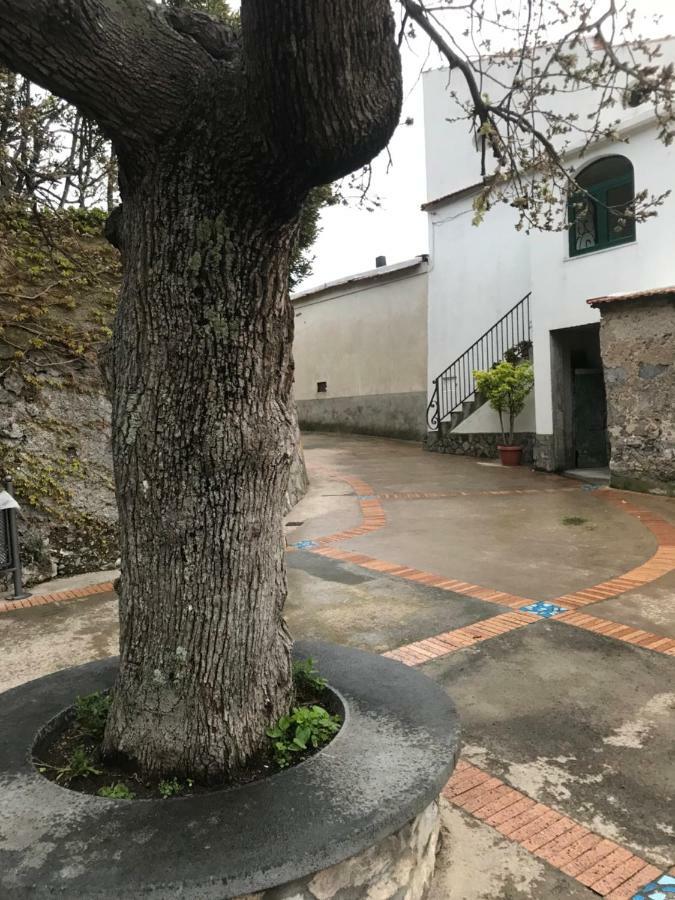 Maison Rosa Positano Eksteriør bilde